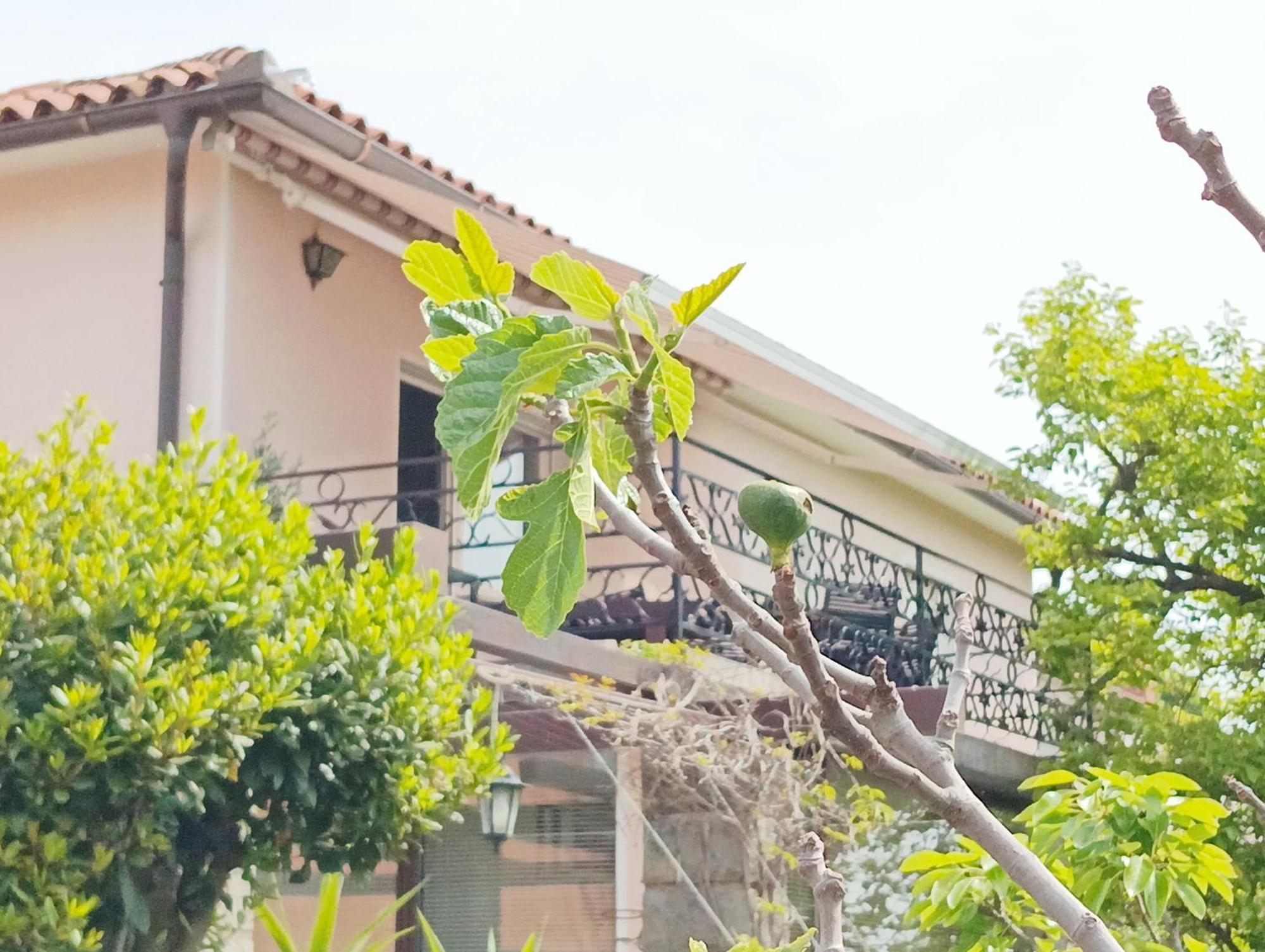 Green Park And Sunny Terrace Apartments Ankaran Exterior photo